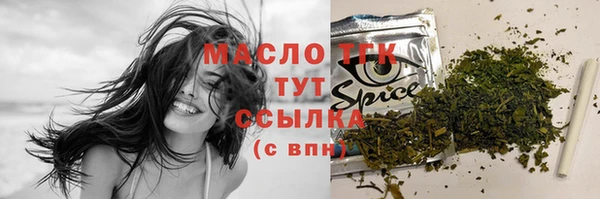 индика Балабаново