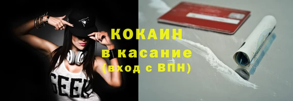 индика Балабаново