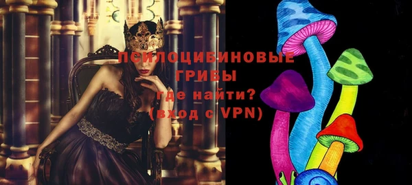 индика Балабаново