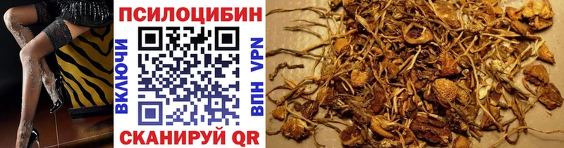 наркошоп  Весьегонск  Галлюциногенные грибы Psilocybine cubensis 